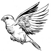 EssieZ profile image