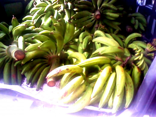 South Indian banana var. Nendran