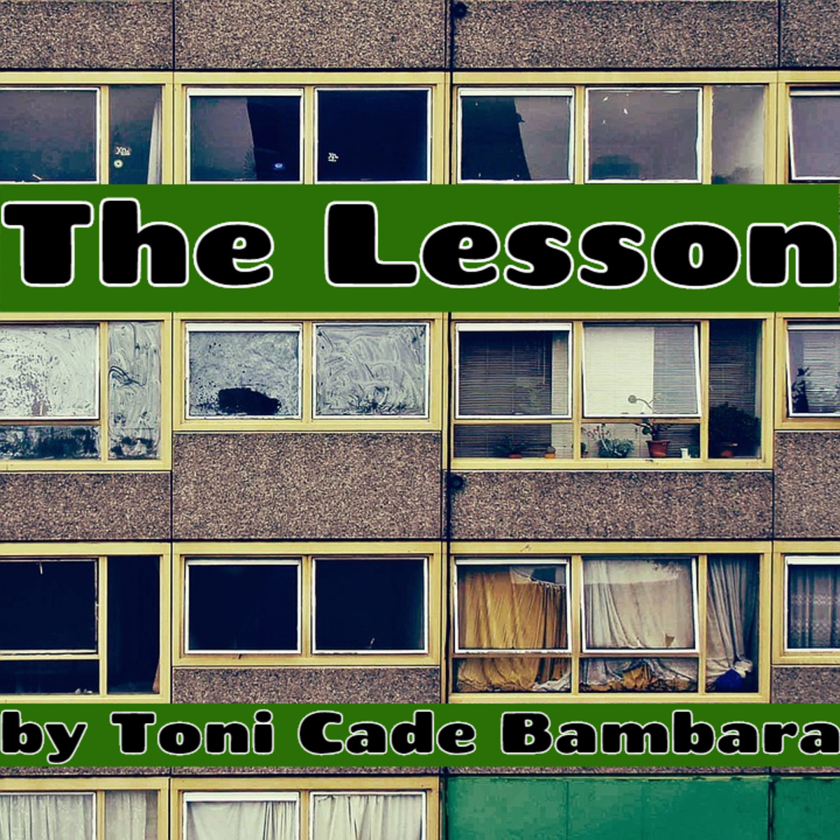 Analysis Of The Lesson By Toni Cade Bambara Owlcation