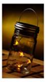 Jar Of Fireflies