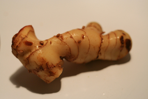 Galangal http://www.flickr.com/photos/imipolexg/1389036543/