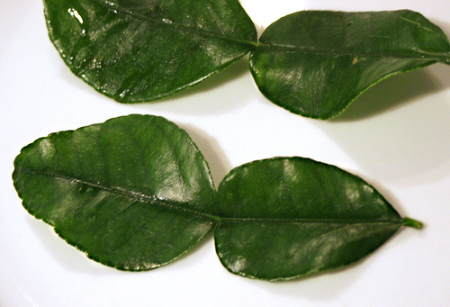 kaffir Lime Leaves http://www.flickr.com/photos/maggiejane/3262725381/