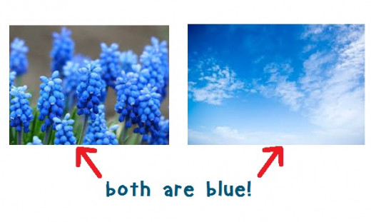 Different objects have various shades of the same color