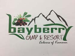 HubPages profile picture for @bayberry