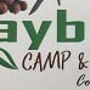 bayberry profile image