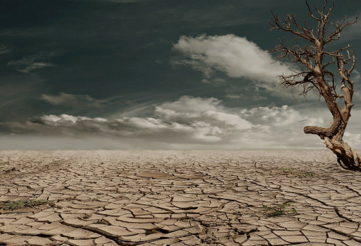 desert drought, Image by Marion Wunder from Pixabay