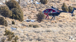 January 2020: Blm Will 