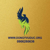 dongyvuduc profile image