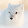 HSSANMC profile image