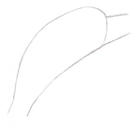 With any drawing, always start off with a simple shape.