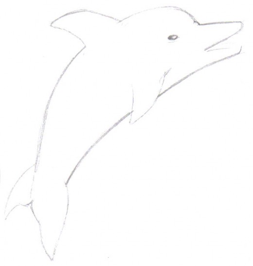 A loose and light dolphin sketch of the main features.