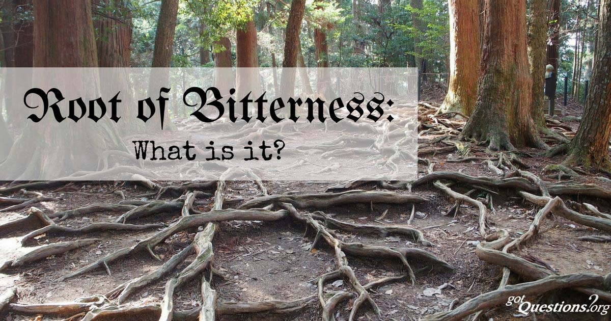 Do Not Allow Root of Bitterness to Spring up in You