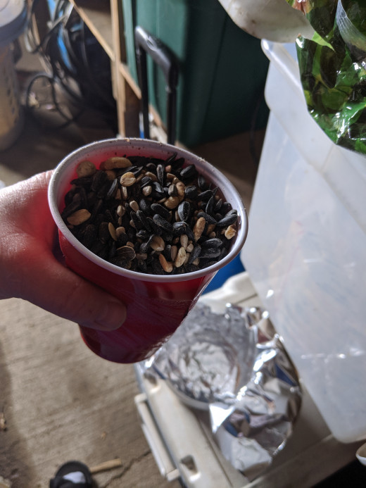 Bird seed, I used about half a red Solo cup