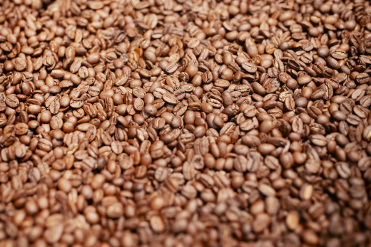 Wheat seeds