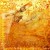 Sufi Dervish Sufi Dervish