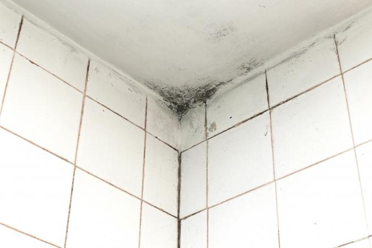 Tips For Painting Moldy Bathroom Walls And Ceilings Dengarden