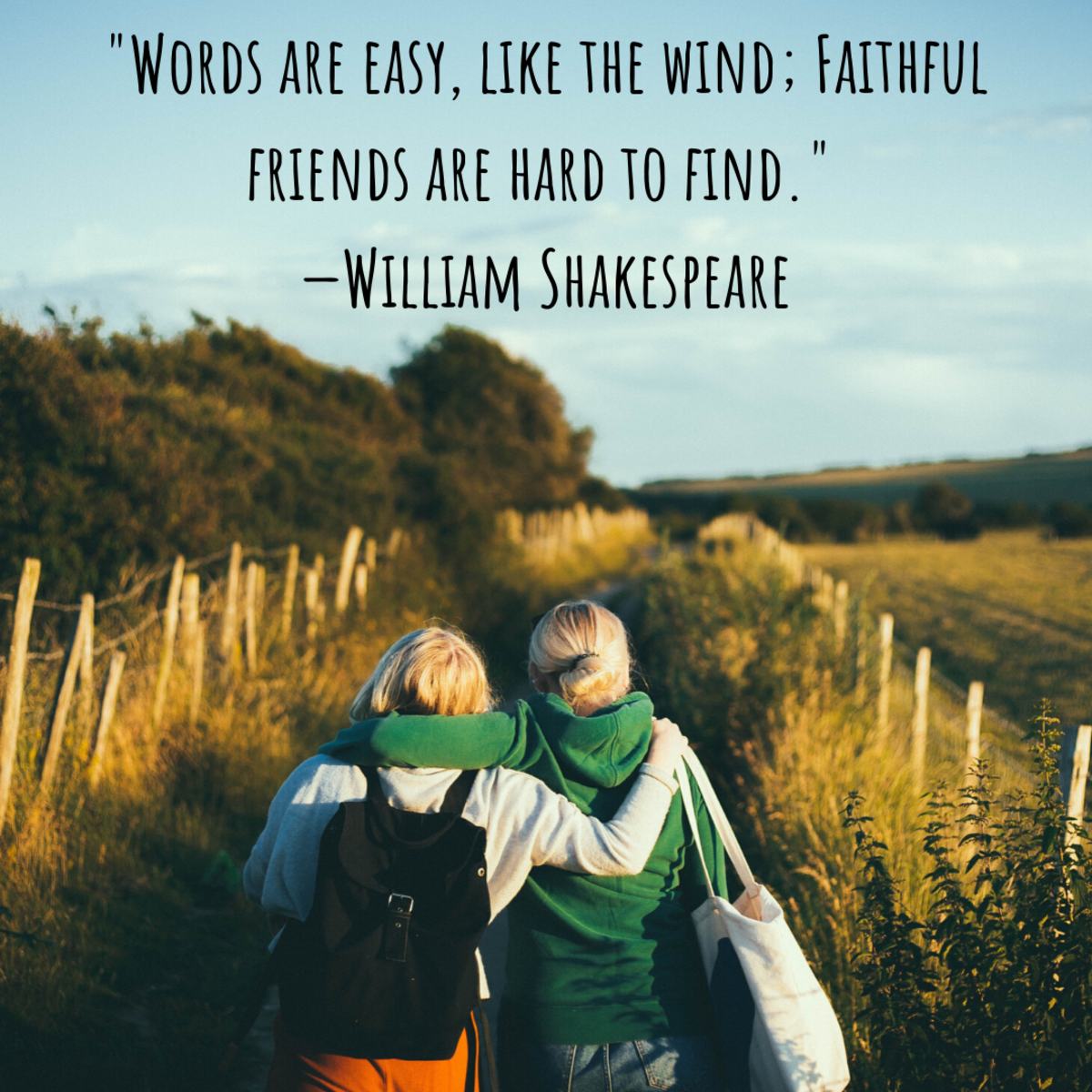 Best Friends: Quotes, Sayings, and Proverbs About Friendship | Holidappy