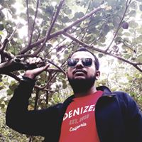 HubPages profile picture for @Enan
