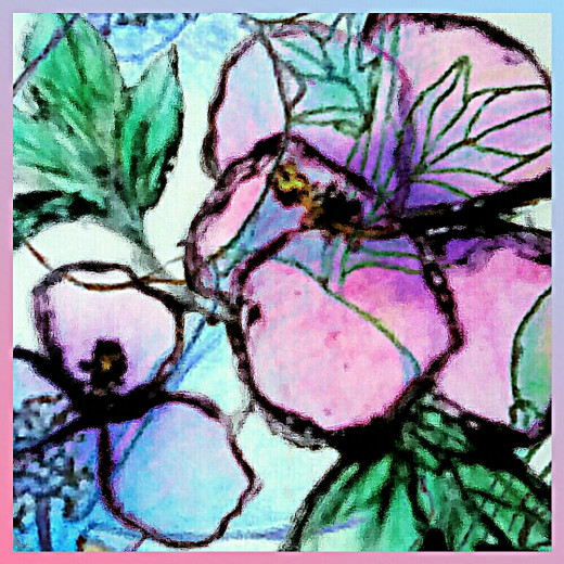 hibiscus doodle
