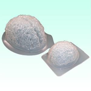 These brain molds can be found at most party theme stores and the ideas on how to use them is endless!