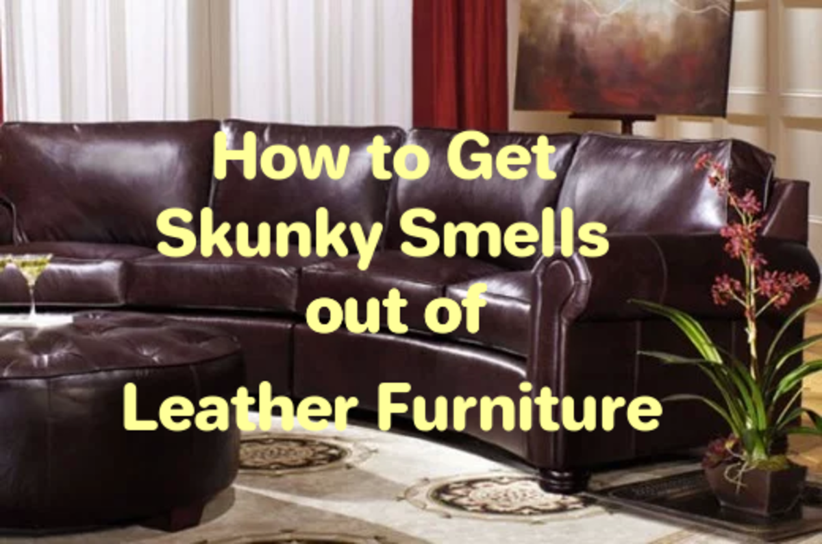 How To Get Skunky Smells Out Of Leather Furniture Dengarden