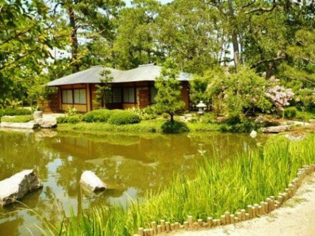 Japanese Tea Garden In Houston Texas Serenity In Hermann Park