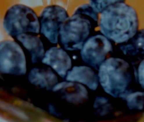Blueberries / E. A. Wright 2009