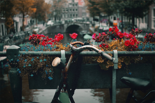 Amsterdam's remarkable charm is on display throughout all of these tourist attractions.