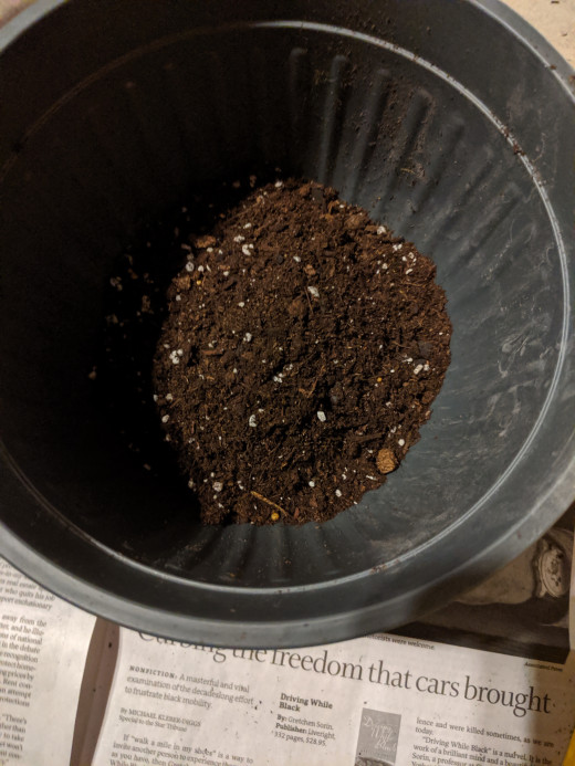 Dirt in bottom of new pot