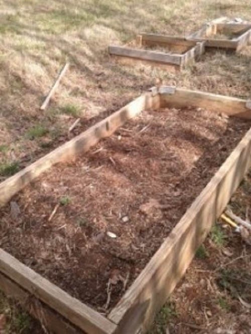 Raised beds are a good way to prevent damage to plants from late freeze.