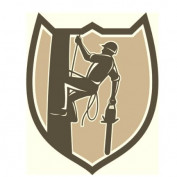 protreeserviceca profile image