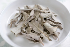 White Sage: Herb of the Month March 2020