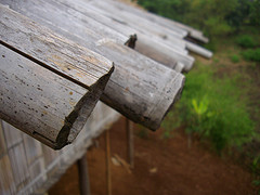 Bamboo roofing.