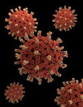 Should I Worry About the Coronavirus?