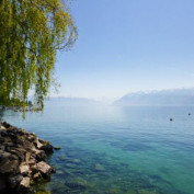 Jeanpaulvanquaethem profile image