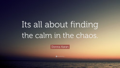 Finding Calm in Chaos, Five Easy Steps to Keeping Your Sanity