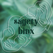 SageryBinx profile image
