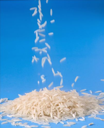 Do you have a problem cooking great rice. Just follow the directions on this page for great rice. Rice is easy to cook. You just have to slow down and cook it right and you'll have perfect rice every time. 