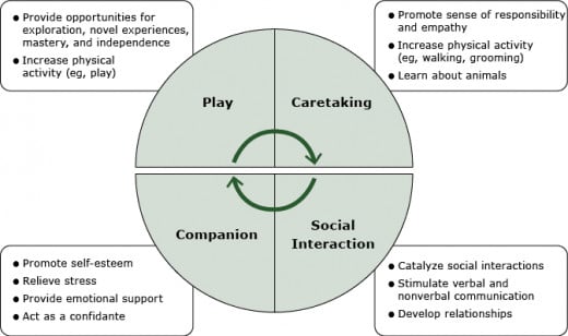 Gadomski et al. (2015), model of core values and complex social norms facilitated by having a family dog