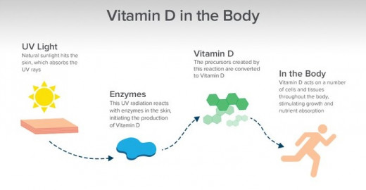 The body produces Vitamin D from sunlight through a series of biochemical reactions