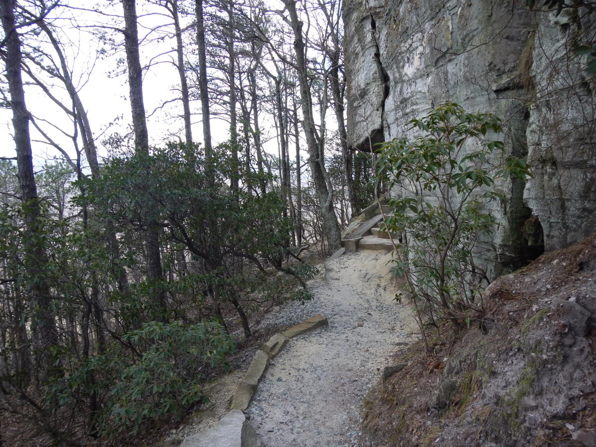 Scenes along the Jomeokee Trail at Pilot Mountain State Park - Pinnacle, NC