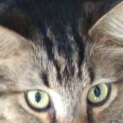 Hunter Wiktorowski profile image