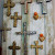 Different types of crosses