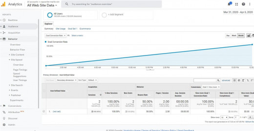 Example of Google Analytics Report Page