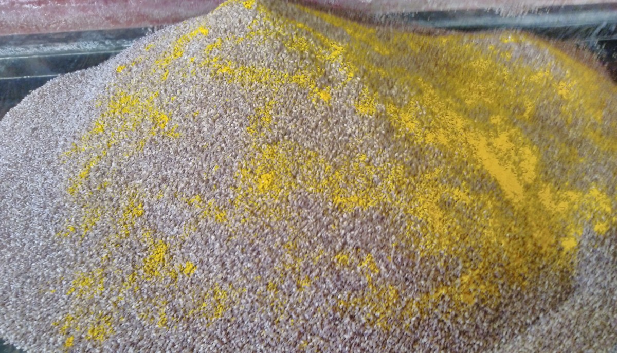 Turmeric  powder sprinkled over rice heap for mixing