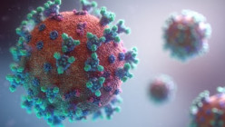 Coronavirus Pandemic 2019