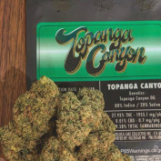 MoonRuntz profile image