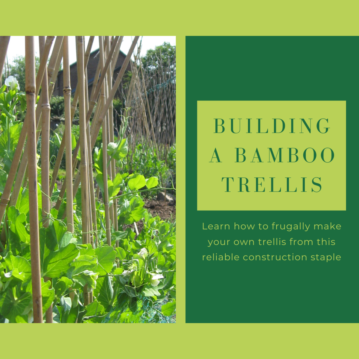 How To Frugally Build A Bamboo Garden Trellis Dengarden