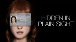 Hidden in Plain Sight Review