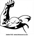 Bulking Up